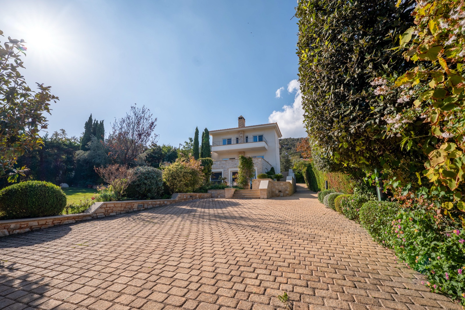 Paiania Residence, photo 7