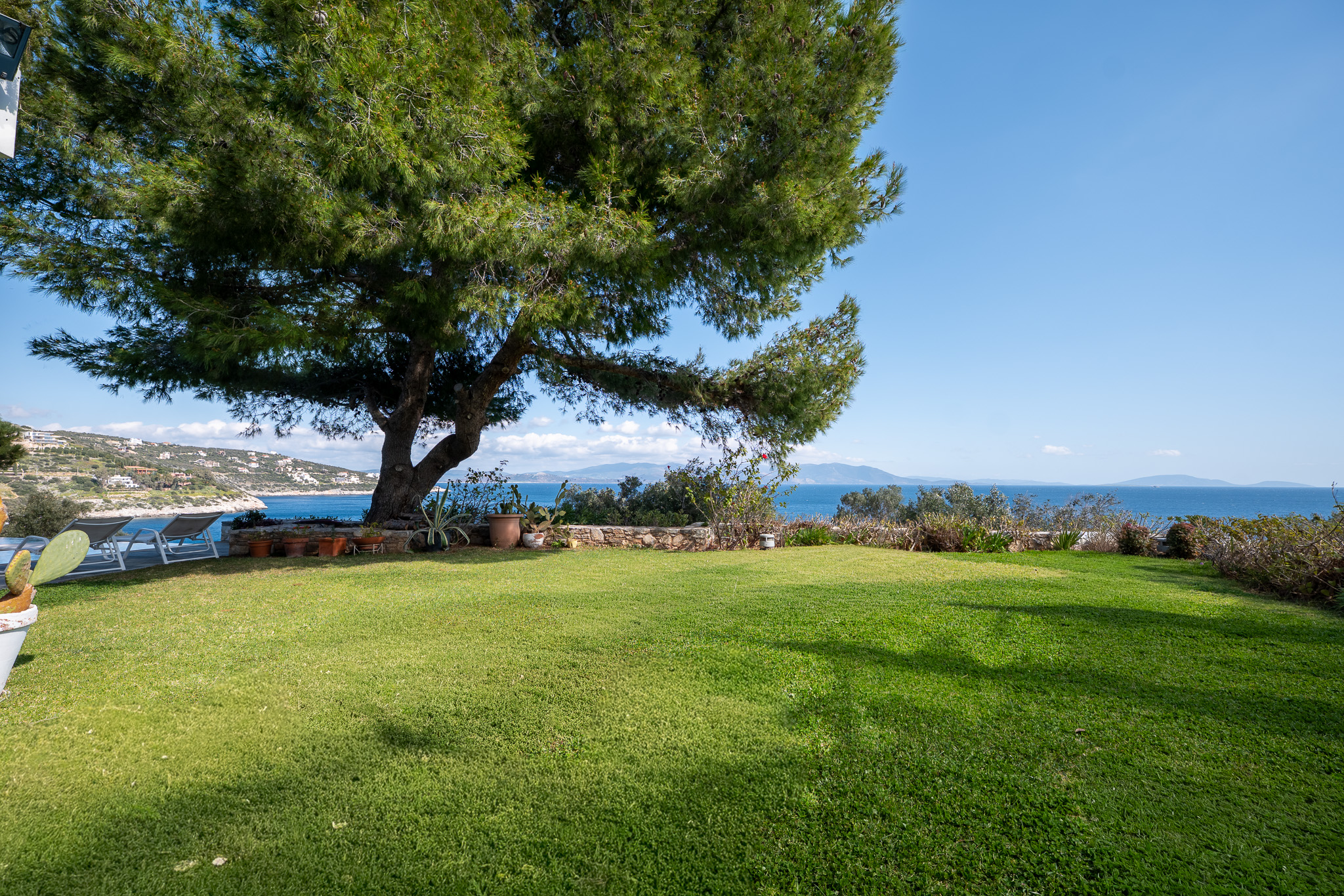 Villa Selene, lawn garden under a sculptural pine